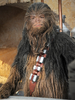 zubacca.png