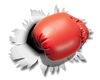 Boxing-Gloves-.png
