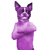 purpledogarmfart.gif